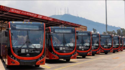 ZEBRA Newsletter – April – July 2022