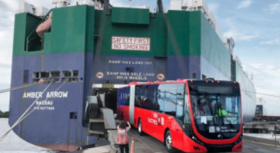 ZEBRA Newsletter – June-July, 2021