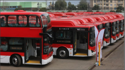 Boletín ZEBRA