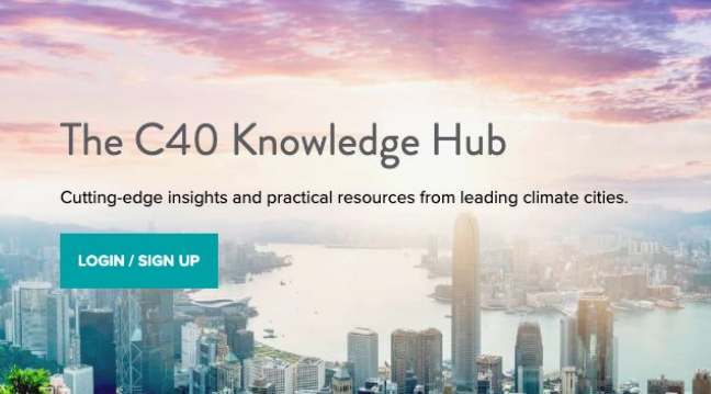 Newsletter ZEBRA – Março 2020